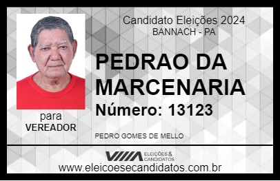 Candidato PEDRAO DA MARCENARIA 2024 - BANNACH - Eleições