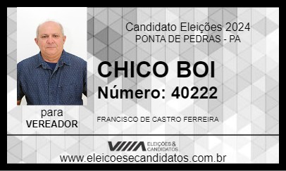 Candidato CHICO BOI 2024 - PONTA DE PEDRAS - Eleições