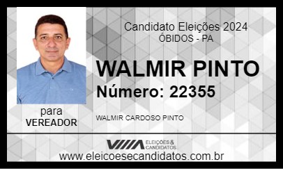 Candidato WALMIR PINTO 2024 - ÓBIDOS - Eleições