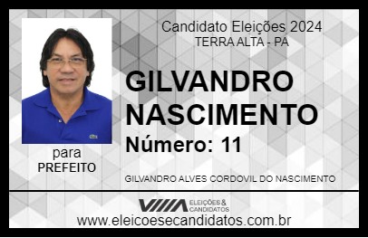 Candidato GILVANDRO NASCIMENTO 2024 - TERRA ALTA - Eleições