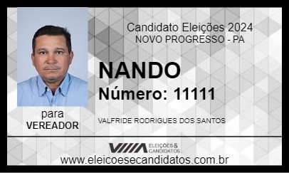 Candidato NANDO 2024 - NOVO PROGRESSO - Eleições