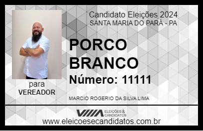 Candidato PORCO BRANCO 2024 - SANTA MARIA DO PARÁ - Eleições