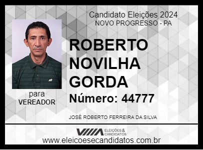 Candidato ROBERTO NOVILHA GORDA 2024 - NOVO PROGRESSO - Eleições