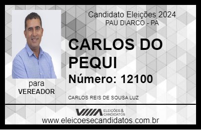 Candidato CARLOS DO PEQUI 2024 - PAU D\ARCO - Eleições