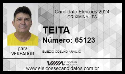 Candidato TEITA 2024 - ORIXIMINÁ - Eleições