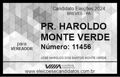 Candidato PR. HAROLDO MONTE VERDE 2024 - BREVES - Eleições