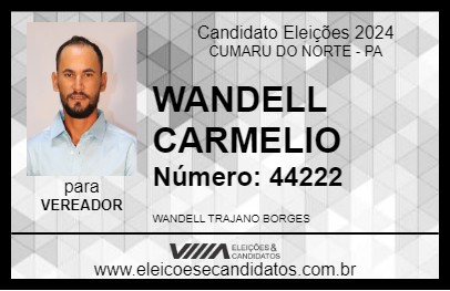 Candidato WANDELL CARMELIO 2024 - CUMARU DO NORTE - Eleições