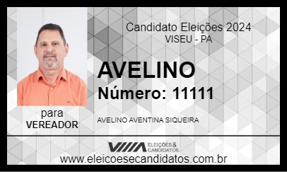 Candidato AVELINO  2024 - VISEU - Eleições