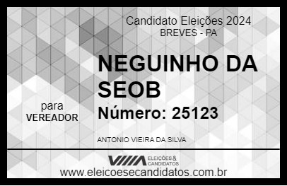 Candidato NEGUINHO DA SEOB 2024 - BREVES - Eleições