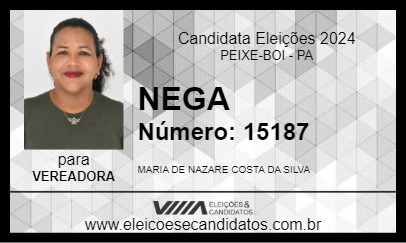 Candidato NEGA 2024 - PEIXE-BOI - Eleições