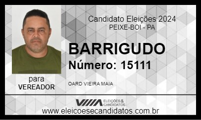 Candidato BARRIGUDO 2024 - PEIXE-BOI - Eleições