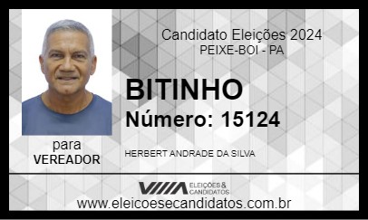 Candidato BITINHO 2024 - PEIXE-BOI - Eleições