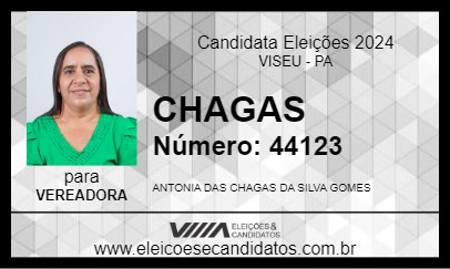 Candidato CHAGAS 2024 - VISEU - Eleições