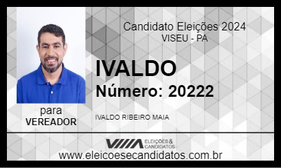 Candidato IVALDO 2024 - VISEU - Eleições