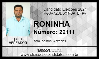 Candidato RONINHA 2024 - ÁGUA AZUL DO NORTE - Eleições