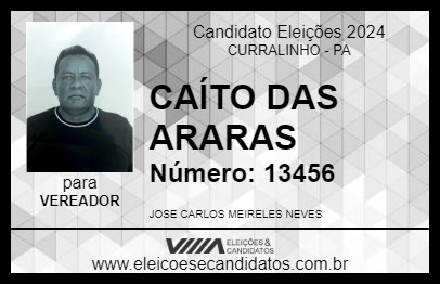 Candidato CAÍTO DAS ARARAS 2024 - CURRALINHO - Eleições