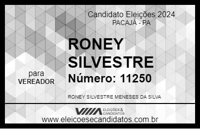 Candidato RONEY SILVESTRE 2024 - PACAJÁ - Eleições