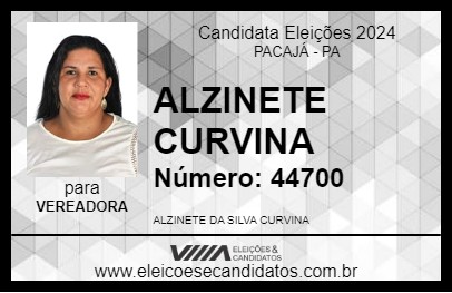 Candidato ALZINETE CURVINA 2024 - PACAJÁ - Eleições