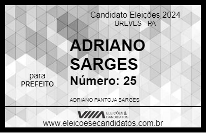 Candidato ADRIANO SARGES  2024 - BREVES - Eleições