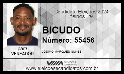 Candidato BICUDO 2024 - ÓBIDOS - Eleições