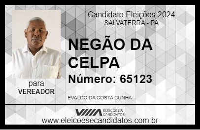 Candidato NEGÃO DA CELPA 2024 - SALVATERRA - Eleições