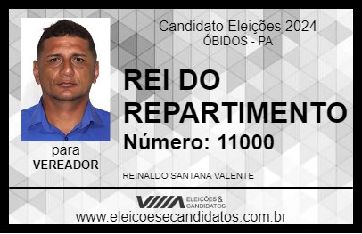 Candidato REI DO REPARTIMENTO 2024 - ÓBIDOS - Eleições