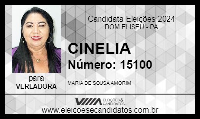 Candidato CINELIA 2024 - DOM ELISEU - Eleições