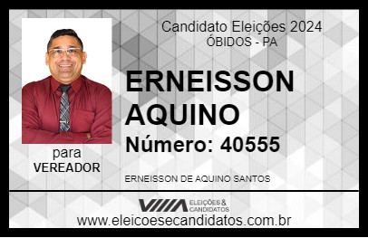 Candidato ERNEISSON AQUINO 2024 - ÓBIDOS - Eleições