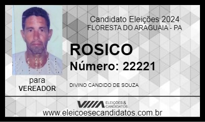 Candidato ROSICO 2024 - FLORESTA DO ARAGUAIA - Eleições