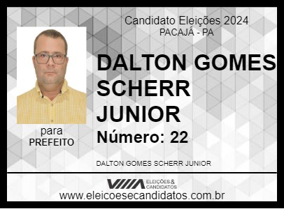 Candidato DALTON GOMES SCHERR JUNIOR 2024 - PACAJÁ - Eleições