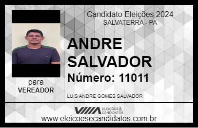 Candidato ANDRE SALVADOR 2024 - SALVATERRA - Eleições