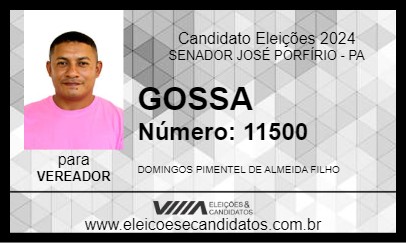 Candidato GOSSA 2024 - SENADOR JOSÉ PORFÍRIO - Eleições