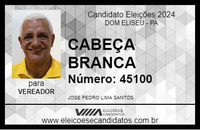 Candidato CABEÇA BRANCA 2024 - DOM ELISEU - Eleições