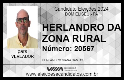 Candidato HERLANDRO DA ZONA RURAL 2024 - DOM ELISEU - Eleições