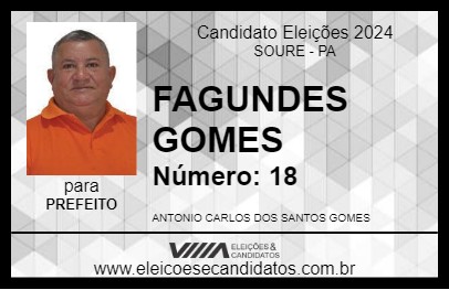 Candidato FAGUNDES GOMES 2024 - SOURE - Eleições