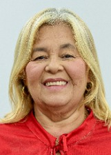 PROFESSORA LUCIA MEDEIROS 2024 - REMÍGIO