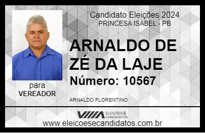 Candidato ARNALDO DE ZÉ DA LAJE 2024 - PRINCESA ISABEL - Eleições