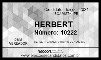 Candidato HERBERT 2024 - BOA VISTA - Eleições