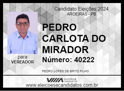 Candidato PEDRO CARLOTA DO MIRADOR 2024 - AROEIRAS - Eleições