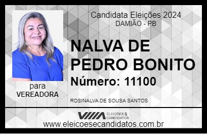 Candidato NALVA DE PEDRO BONITO 2024 - DAMIÃO - Eleições