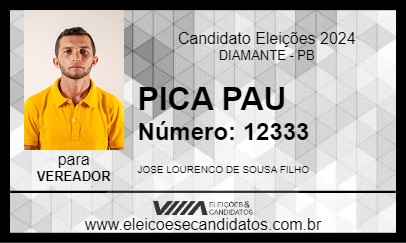 Candidato PICA PAU 2024 - DIAMANTE - Eleições