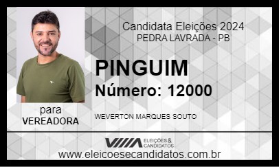 Candidato PINGUIM 2024 - PEDRA LAVRADA - Eleições