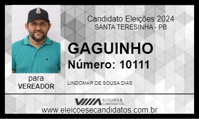 Candidato GAGUINHO 2024 - SANTA TERESINHA - Eleições