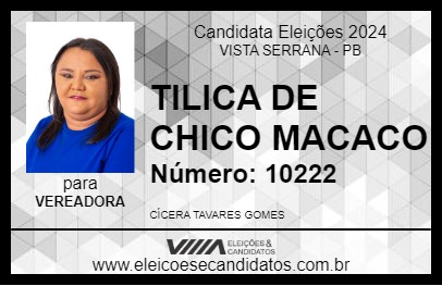 Candidato TILICA DE CHICO MACACO 2024 - VISTA SERRANA - Eleições