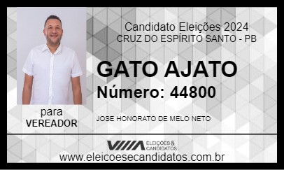 Candidato GATO AJATO 2024 - CRUZ DO ESPÍRITO SANTO - Eleições