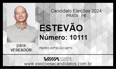 Candidato ESTEVÃO 2024 - PRATA - Eleições