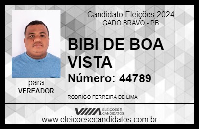 Candidato BIBI DE BOA VISTA 2024 - GADO BRAVO - Eleições