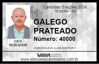 Candidato GALEGO PRATEADO 2024 - TEIXEIRA - Eleições