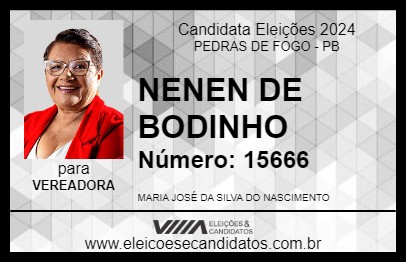 Candidato NENEN DE BODINHO 2024 - PEDRAS DE FOGO - Eleições