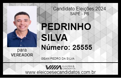 Candidato PEDRINHO SILVA 2024 - SAPÉ - Eleições